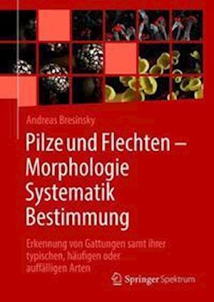 Pilze Und Flechten - Morphologie, Systematik, Bestimmung