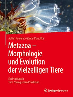 Metazoa - Morphologie und Evolution der vielzelligen Tiere