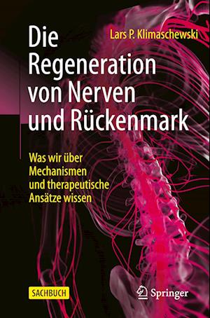 Die Regeneration Von Nerven Und Rückenmark