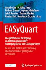 EASyQuart - Energieeffiziente Auslegung und Planung dezentraler Versorgungsnetze von Stadtquartieren