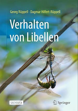 Verhalten von Libellen