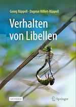 Verhalten von Libellen