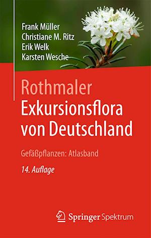 Rothmaler - Exkursionsflora von Deutschland, Gefäßpflanzen: Atlasband