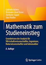 Mathematik zum Studieneinstieg