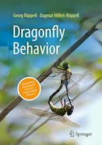 Dragonfly Behavior