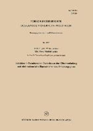 Schichten im Faradayschen Dunkelraum der Glimmentladung und elektrochemische Eigenschaften des Entladungsgases