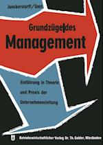 Grundzüge des Management