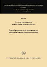 Strukturbestimmung durch Kernstreuung und magnetische Streuung thermischer Neutronen