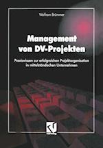 Management von DV-Projekten