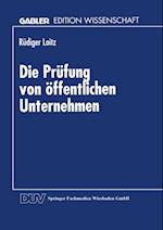 Die Prüfung von öffentlichen Unternehmen