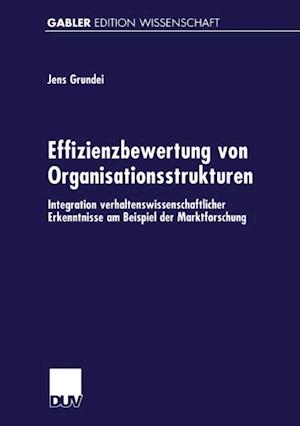 Effizienzbewertung von Organisationsstrukturen