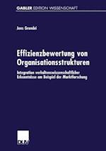 Effizienzbewertung von Organisationsstrukturen