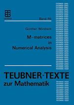 M-matrices in Numerical Analysis