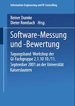 Software-Messung und -Bewertung