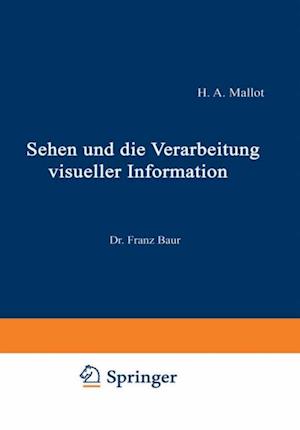 Sehen und die Verarbeitung visueller Information