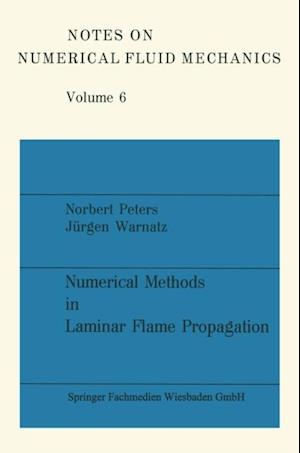 Numerical Methods in Laminar Flame Propagation