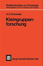 Kleingruppenforschung