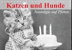 Katzen und Hunde - Nostalgie auf Pfoten (Tischkalender immerwährend DIN A5 quer)
