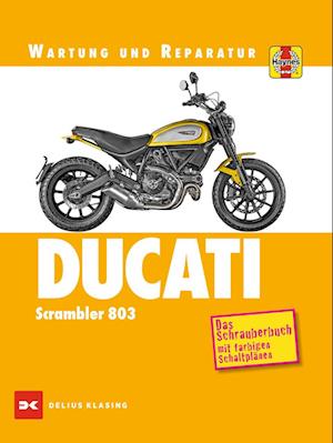 Ducati Scrambler 803