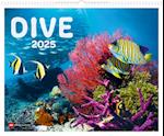 Dive 2025