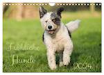 Fröhliche Hunde (Wandkalender 2024 DIN A4 quer)