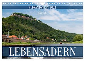 Lebensadern - Elbsandstein (Wandkalender 2024 DIN A4 quer)