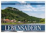 Lebensadern - Elbsandstein (Wandkalender 2024 DIN A4 quer)