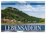 Lebensadern - Elbsandstein (Wandkalender 2024 DIN A2 quer)