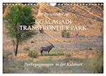 Auf Pirschfahrt im Kgalagadi Transfrontier Park (Wandkalender 2024 DIN A4 quer), CALVENDO Monatskalender