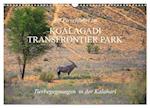 Auf Pirschfahrt im Kgalagadi Transfrontier Park (Wandkalender 2024 DIN A3 quer), CALVENDO Monatskalender