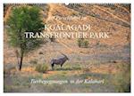 Auf Pirschfahrt im Kgalagadi Transfrontier Park (Wandkalender 2024 DIN A2 quer)