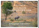 Auf Pirschfahrt im Kgalagadi Transfrontier Park (Tischkalender 2024 DIN A5 quer)