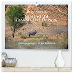 Auf Pirschfahrt im Kgalagadi Transfrontier Park (Premium, hochwertiger DIN A2 Wandkalender 2024, Kunstdruck in Hochglanz)