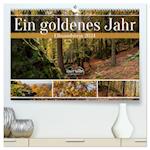 Ein goldenes Jahr - Elbsandstein (Premium, hochwertiger DIN A2 Wandkalender 2024, Kunstdruck in Hochglanz)