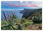 Frühlingstraum Madeira (Wandkalender 2024 DIN A4 quer)