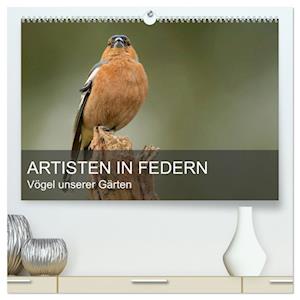 Artisten in Federn - Vögel unserer Gärten (hochwertiger Premium Wandkalender 2024 DIN A2 quer), Kunstdruck in Hochglanz