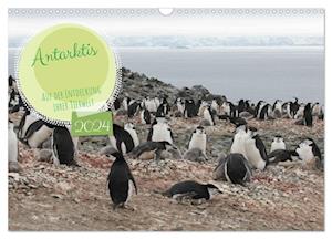 Antarktis Auf der Entdeckung ihrer Tierwelt (Wandkalender 2024 DIN A3 quer)