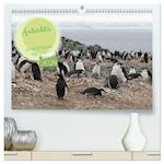 Antarktis Auf der Entdeckung ihrer Tierwelt (Premium, hochwertiger DIN A2 Wandkalender 2024, Kunstdruck in Hochglanz)