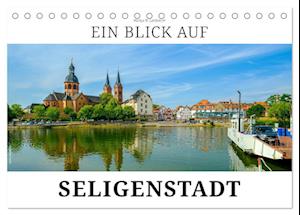 Ein Blick auf Seligenstadt (Tischkalender 2024 DIN A5 quer)