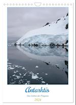 Antarktis - Das Gebiet der Pinguine (Wandkalender 2024 DIN A4 hoch)