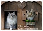 Maui und Molokai - Sibirische Katzenschwestern (Wandkalender 2024 DIN A4 quer)