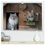 Maui und Molokai - Sibirische Katzenschwestern (Premium, hochwertiger DIN A2 Wandkalender 2024, Kunstdruck in Hochglanz)