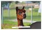 Lamas und Alpakas - südamerikanische Schönheiten (Wandkalender 2024 DIN A4 quer)