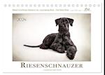 Riesenschnauzer... charakterstarke Hunde (Tischkalender 2024 DIN A5 quer)