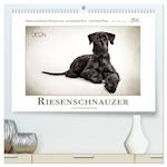 Riesenschnauzer... charakterstarke Hunde (Premium, hochwertiger DIN A2 Wandkalender 2024, Kunstdruck in Hochglanz)