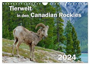 Tierwelt in den Canadian Rockies (Wandkalender 2024 DIN A4 quer)