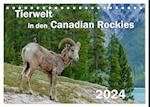 Tierwelt in den Canadian Rockies (Tischkalender 2024 DIN A5 quer)