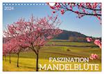 FASZINATION MANDELBLÜTE (Wandkalender 2024 DIN A4 quer), CALVENDO Monatskalender