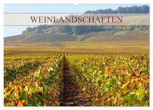 Weinlandschaften (Wandkalender 2024 DIN A2 quer)
