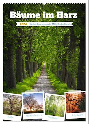 Bäume im Harz (Wandkalender 2024 DIN A2 hoch)